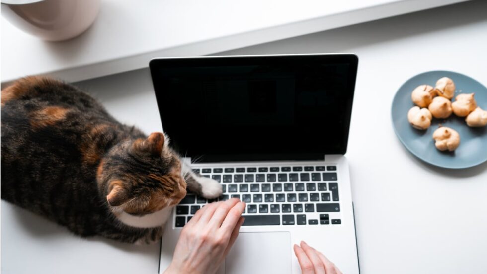 Explore the technologies that power remote work. Learn about essential tools, cybersecurity, and how London is leading the way in the global digital workspace.