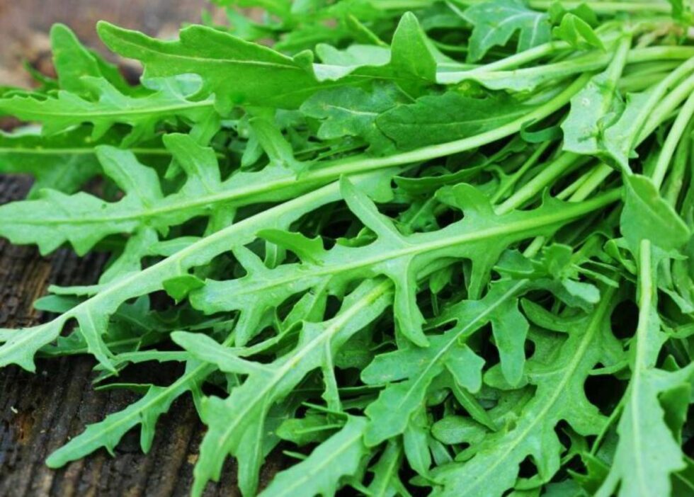 Rocket (arugula) is rich in vitamins A, C, K, calcium and iron. Discover health benefits, digestive effects, safe portions and who should avoid it.