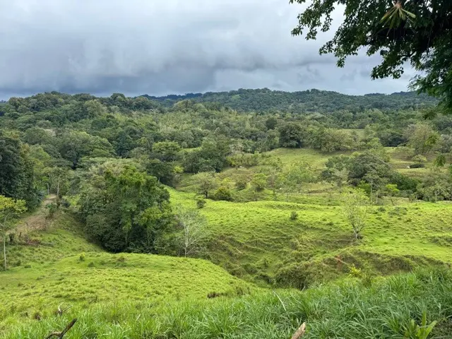 What “Pura Vida” Really Means in Costa Rica – and Why Europeans Seek This Way of Life