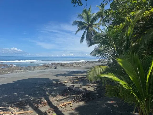 “Pura Vida” in Costa Rica stands for peace, mindfulness and balance. Europeans are drawn to this life philosophy that replaces stress and consumption with presence and gratitude.
