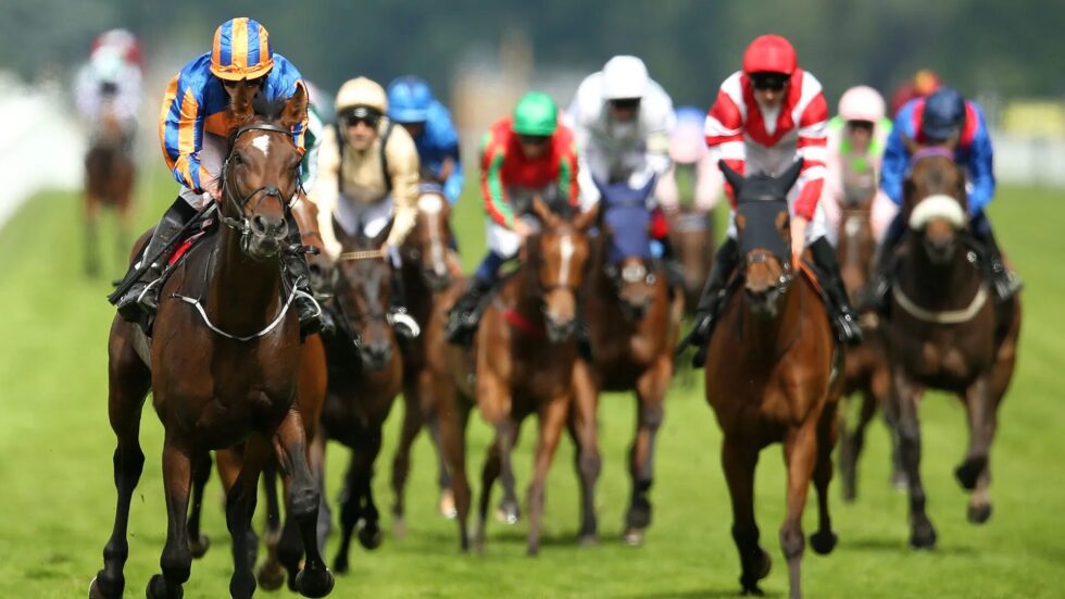 Discover the pageantry and high stakes of UK Horse Racing's biggest events: Royal Ascot and the Grand National. Learn the Royal Enclosure dress code and betting facts.