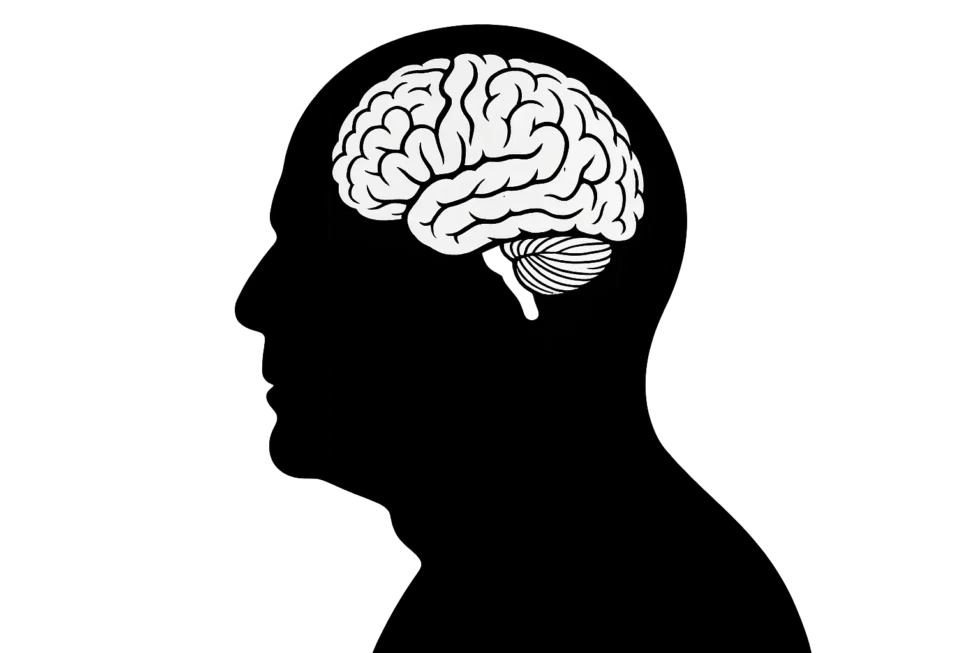 Emma Heming-Willis discloses in her new book that Bruce Willis’s brain should be donated for scientific study to advance research into frontotemporal dementia.