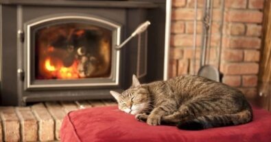 UK Government tightens PM2.5 rules. Wood-burning stoves may face a partial ban. &pound;500m allocated for 250,000 ha of nature restoration.