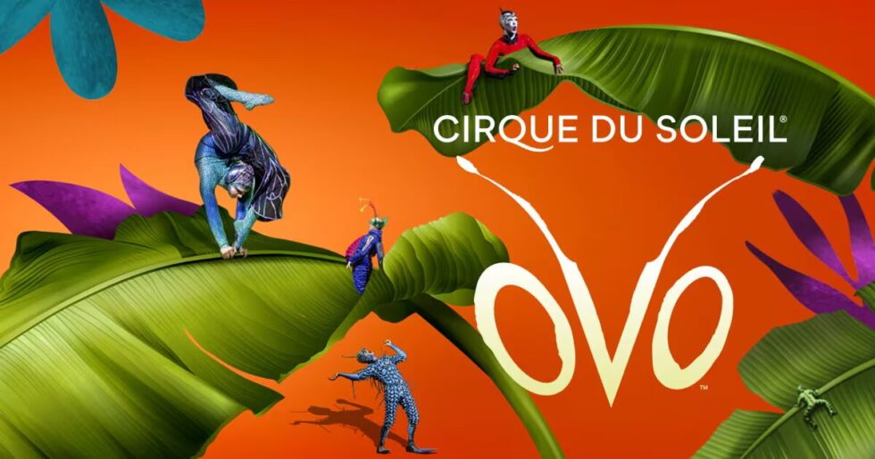 Cirque du Soleil: OVO starts January 9th at the Royal Albert Hall. Get the essential guide to tickets, themes, prices, and the show’s world-class acrobatic acts.
