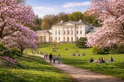 Where to find the best Magnolia bloom 2026 in London? Top 5 locations, peak dates and visiting tips.