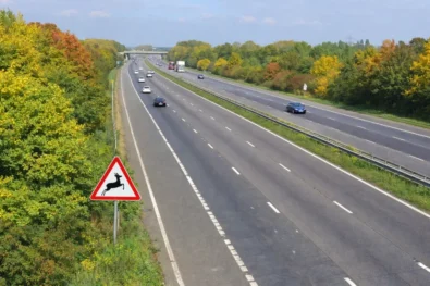 Fatal M23 Crash Near Gatwick: Woman Killed, Driver Arrested