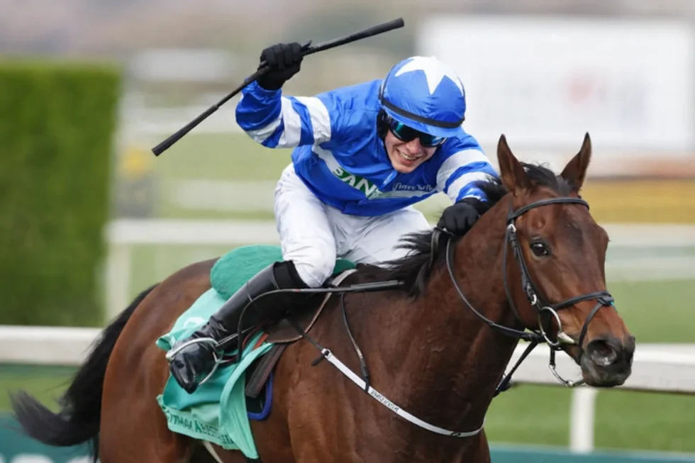 Laafi Grand National Winner Disqualified: Horse Racing Ban