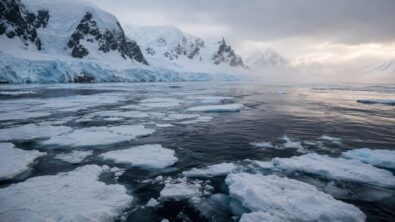 Antarctica sea ice loss has left a France-sized winter gap in the Bellingshausen Sea, raising concern for penguins, krill, ice shelves and sea levels after a 15.4C June heatwave in 2026, experts say.