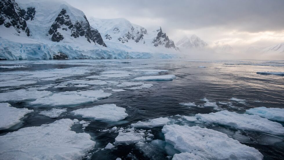 Antarctica sea ice loss has left a France-sized winter gap in the Bellingshausen Sea, raising concern for penguins, krill, ice shelves and sea levels after a 15.4C June heatwave in 2026, experts say.