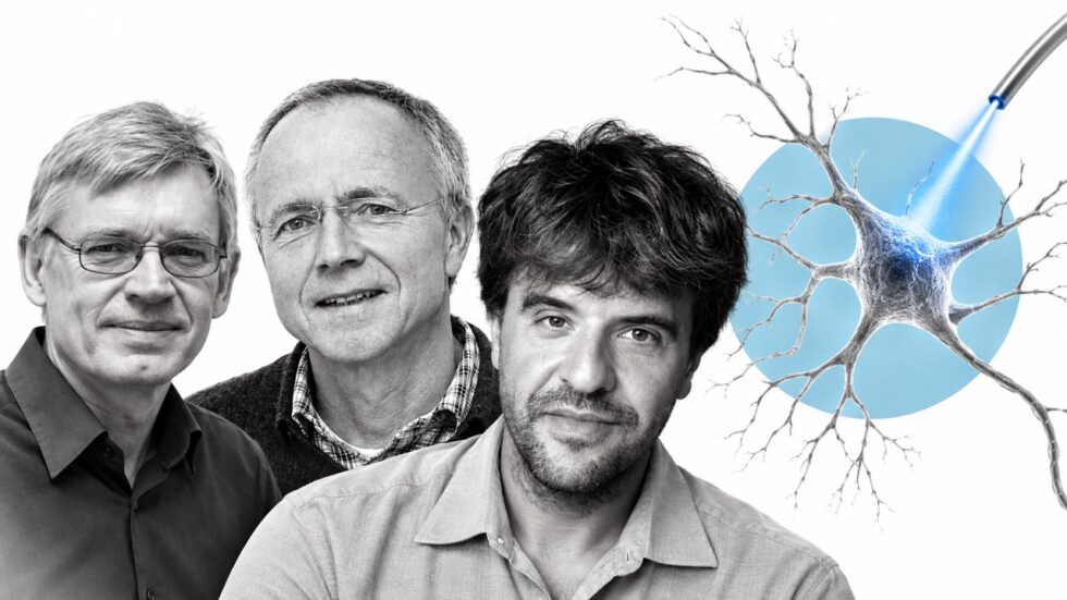 The 2026 Nobel Prize in Medicine has gone to Karl Deisseroth, Peter Hegemann and Georg Nagel for optogenetics, a method that uses light to control nerve cells and study memories, emotions and behaviour.