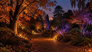 A garden path at twilight with amber and violet decorative lights